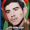 محمد ثاقبی.jpg